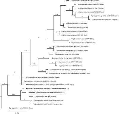 Wildlife Is a Potential Source of Human Infections of Enterocytozoon bieneusi and Giardia duodenalis in Southeastern China